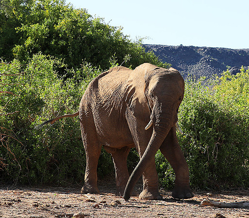 Damaraland