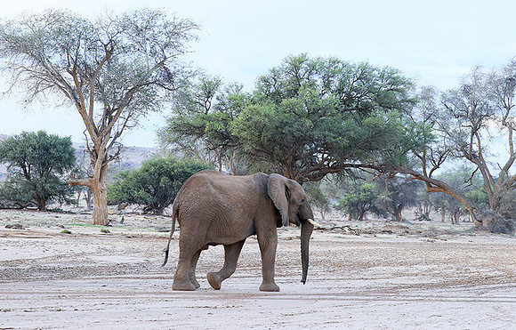 Damaraland