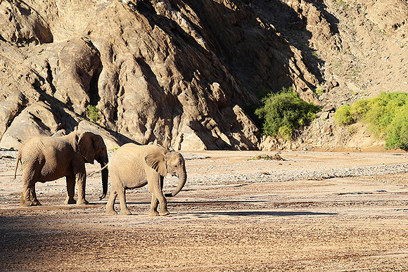 Skeleton coast