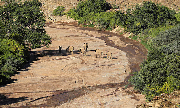Skeleton coast