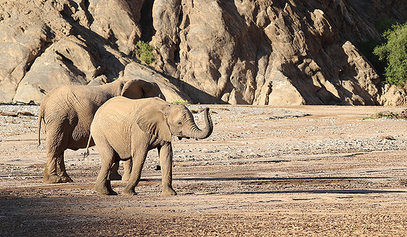 Skeleton coast