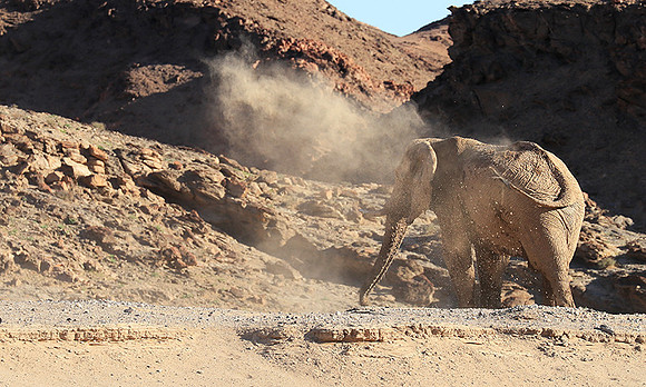 Skeleton coast