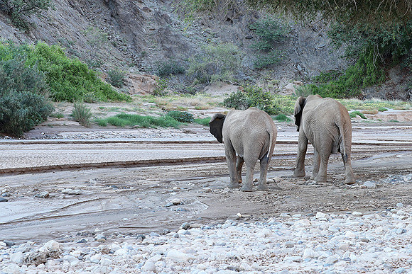 Skeleton coast