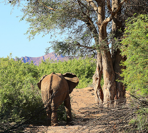 At Skeleton coast