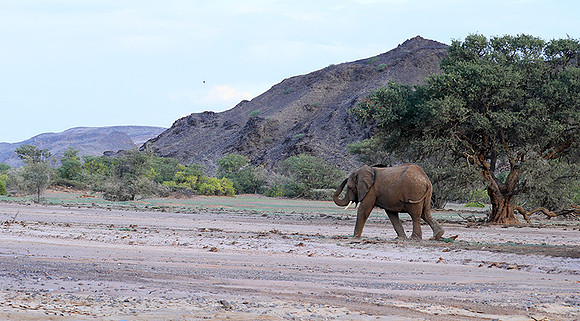 Damaraland