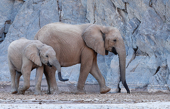 At Skeleton Coast
