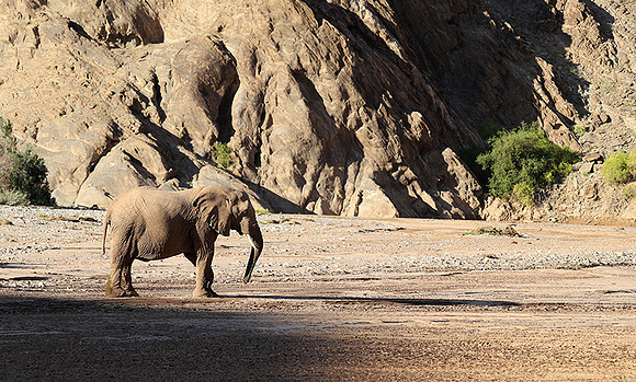 Skeleton coast