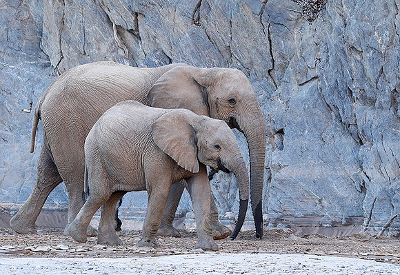 At Skeleton Coast