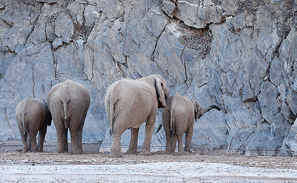 Skeleton coast