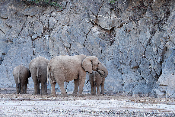 Skeleton coast