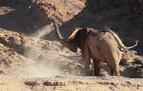 Skeleton coast