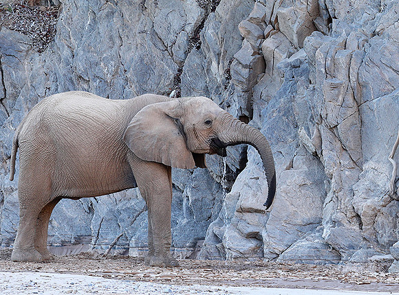 At Skeleton Coast