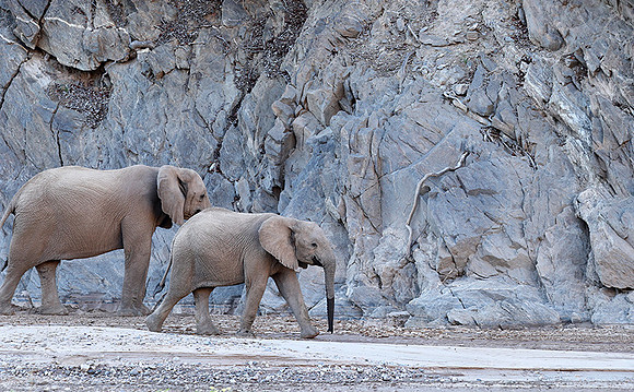 Skeleton coast