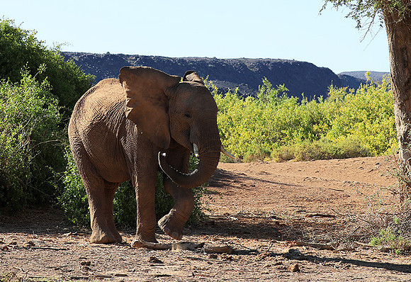 Damaraland