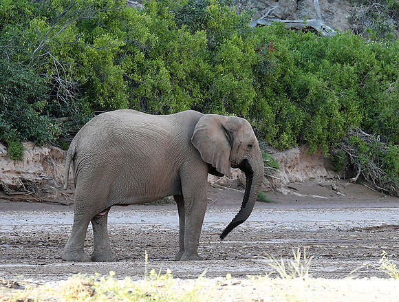Skeleton coast