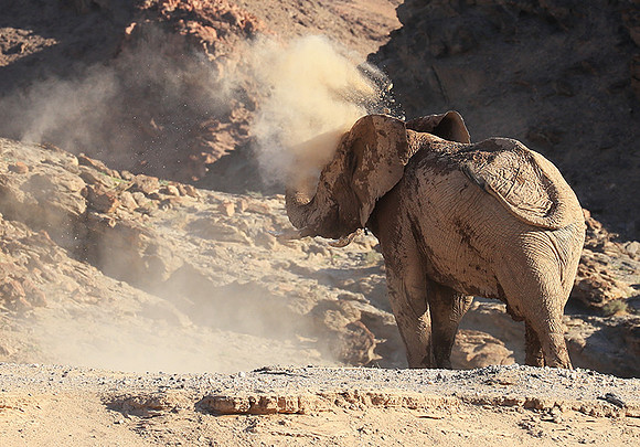 Skeleton coast
