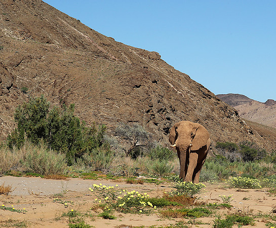 At Skeleton coast