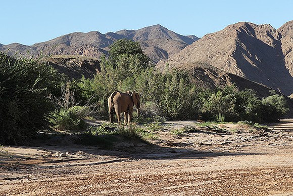 Skeleton coast