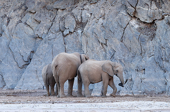 Skeleton coast
