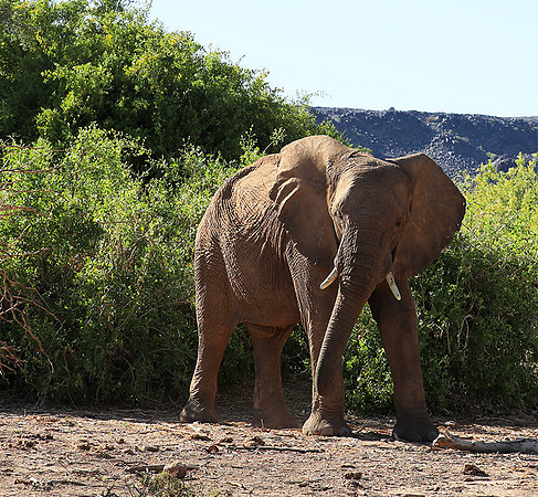 Damaraland