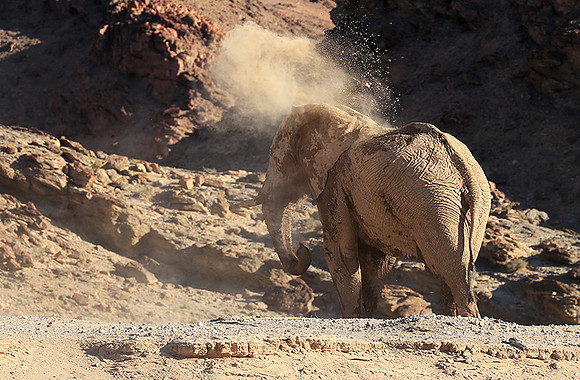 Skeleton coast