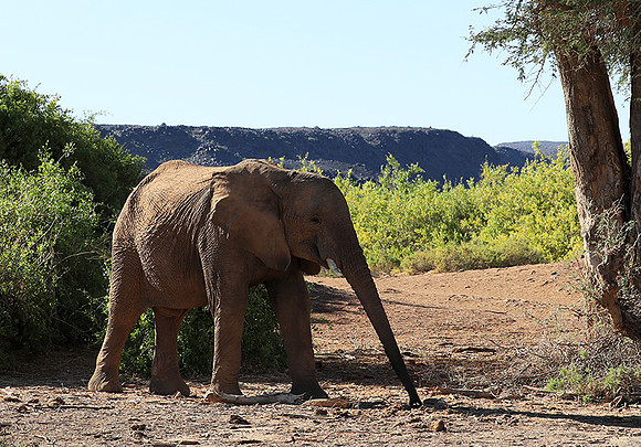 Damaraland