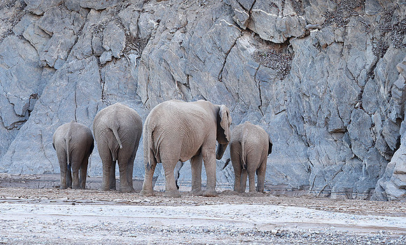 Skeleton coast