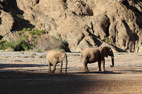 Skeleton coast
