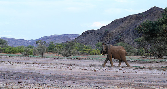 Damaraland