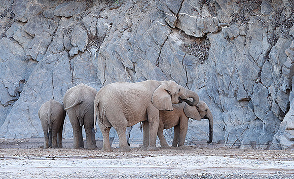 Skeleton coast