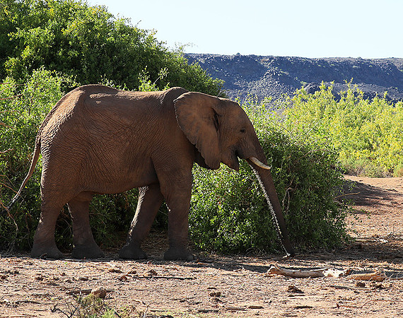 Damaraland