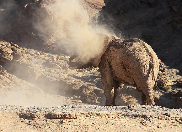 Skeleton coast