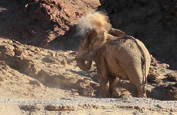 Skeleton coast