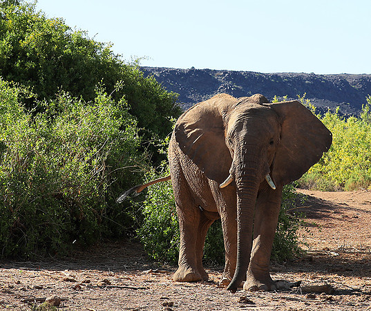 Damaraland