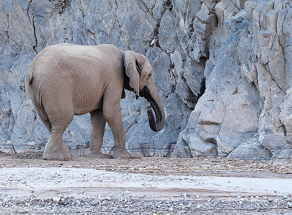 Skeleton coast