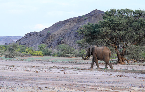 Damaraland