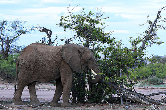 Damaraland