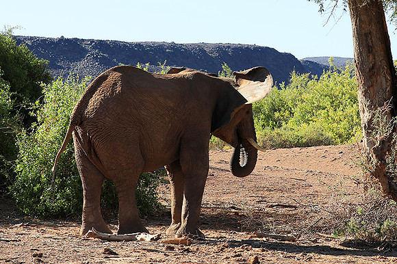 Damaraland