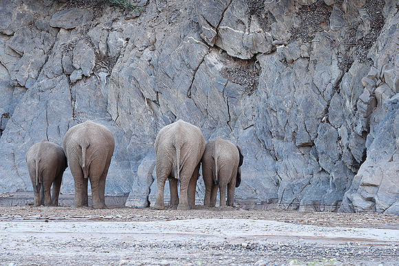 Skeleton coast