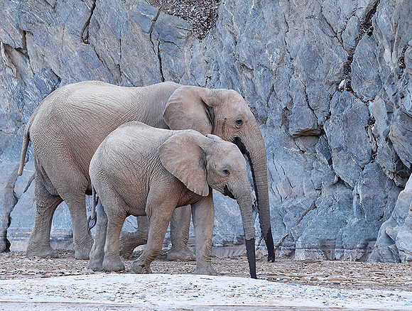 At Skeleton Coast