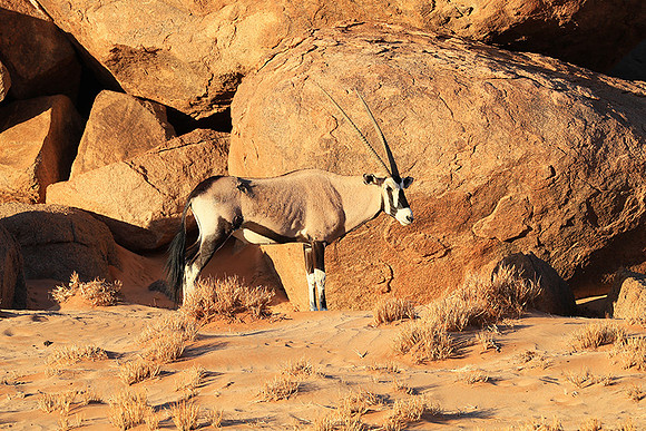 In the desert of Sussusvlei