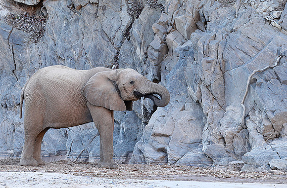 At Skeleton Coast