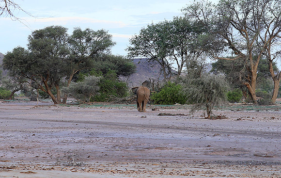 Damaraland