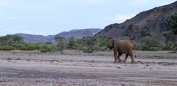 Damaraland