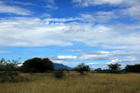 Shompole