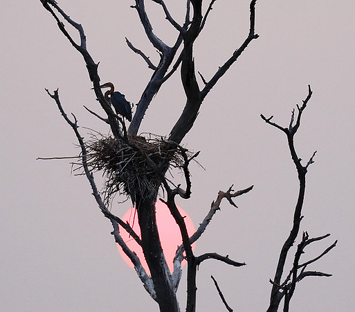 Sunrise - Lake Kariba