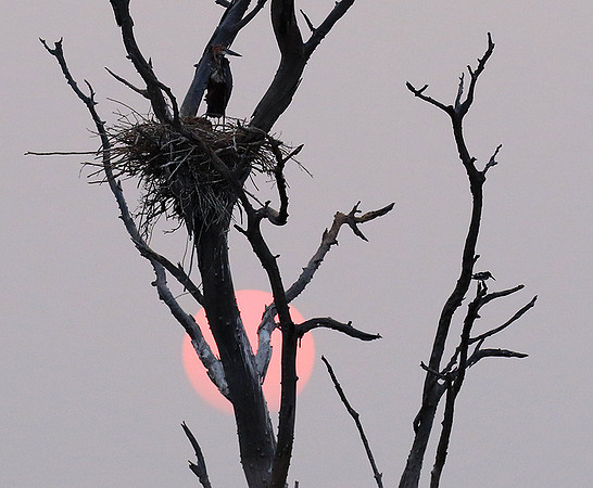 Sunrise - Lake Kariba