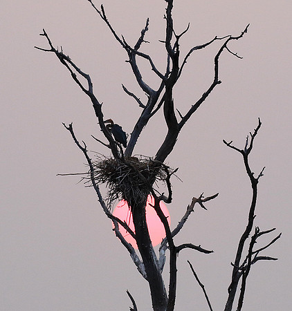 Sunrise - Lake Kariba
