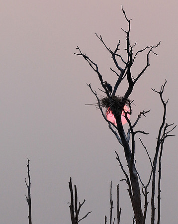 Sunrise - Lake Kariba