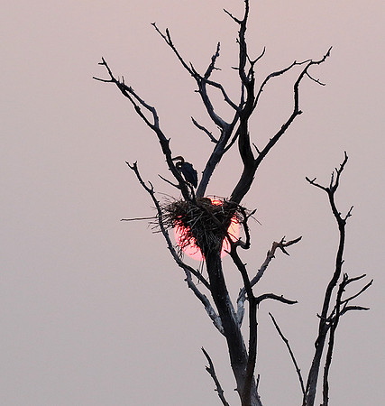 Sunrise - Lake Kariba